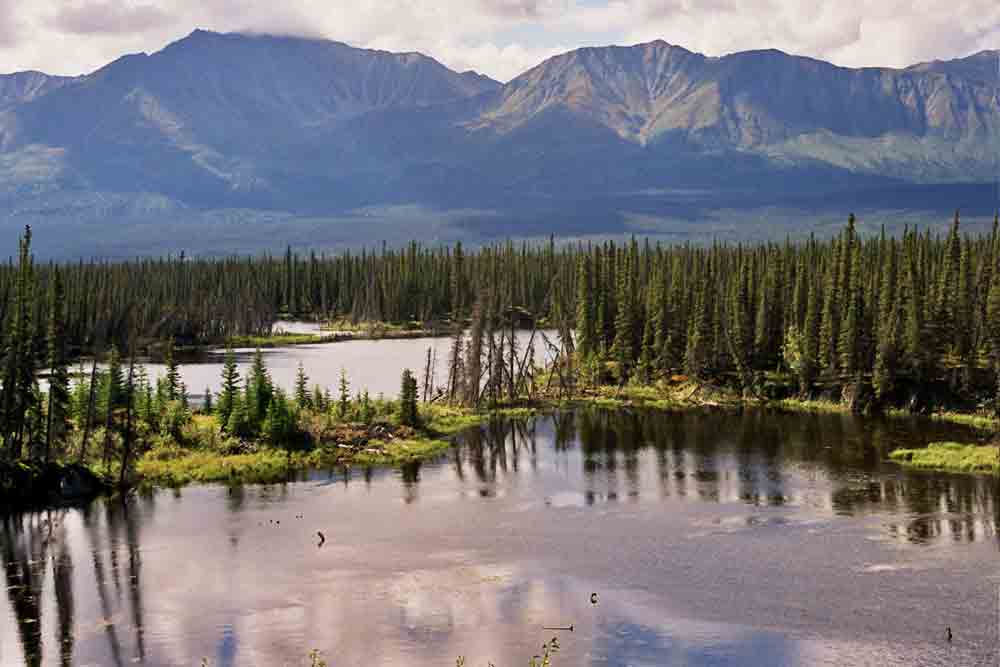 108 - Canada - Yukon, parque nacional de Kluane